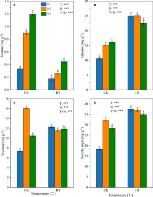 Transcriptome analysis of sugar and acid metabolism in young tomato fruits under high temperature and nitrogen fertilizer influence